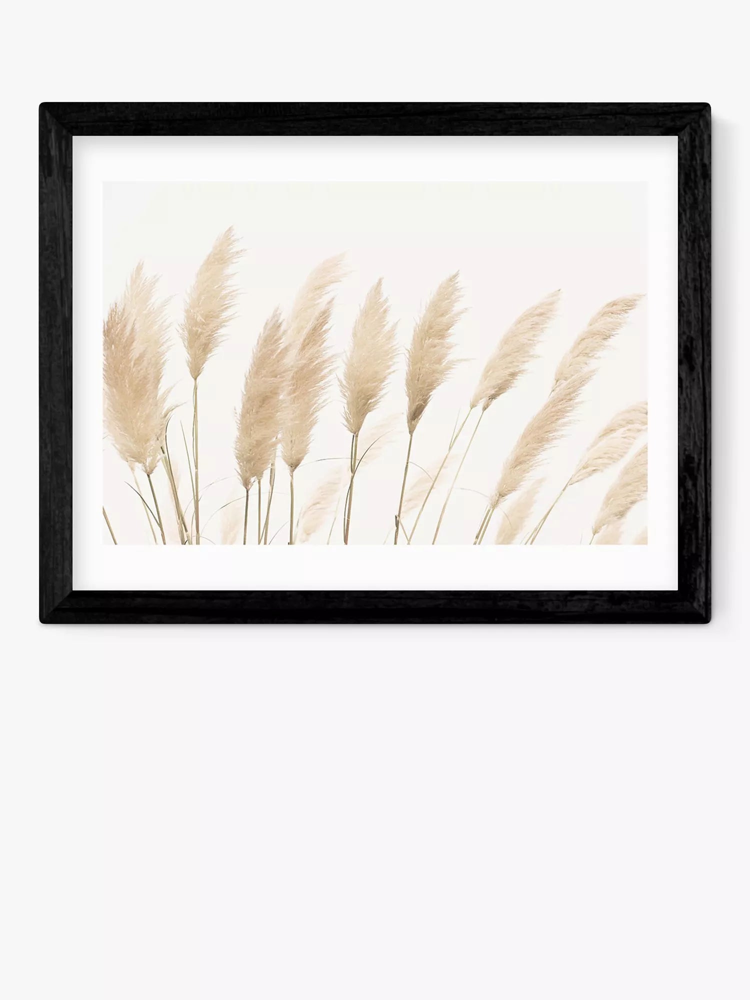 EAST END PRINTS Sisi and Seb 'Pampas' Framed Print 53.4 x 43.4cm