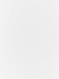 John Lewis white eyelet voile panel - British product