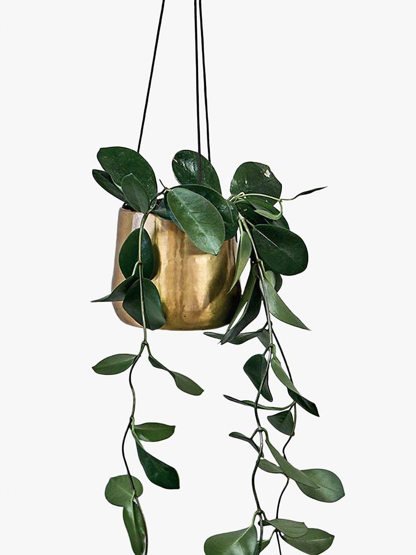 Nkuku Atsu hanging brass planter 9cm x 11cm, imported from the UK