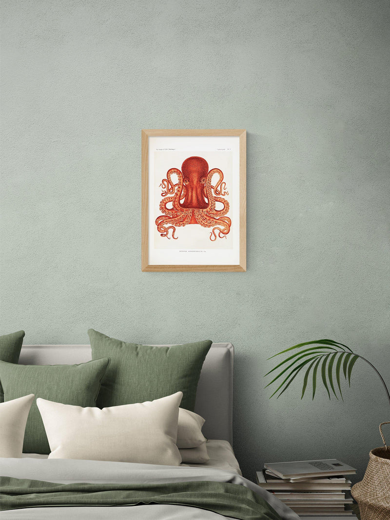 East End Prints Octopus Framed Print A3 - British product