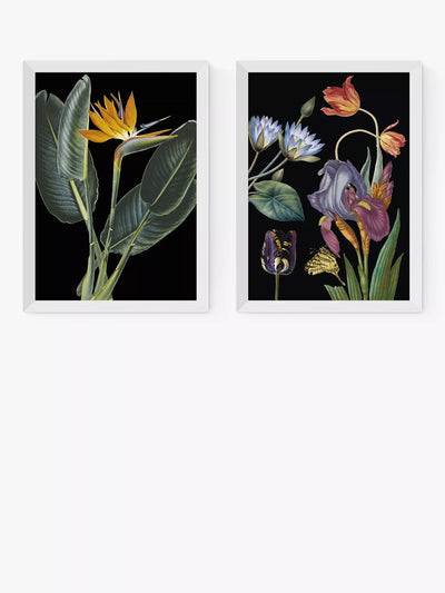 John Lewis EAST END PRINTS Natural History Museum 'Dark Floral' Impression encadrée, lot de 2 - Acheter en ligne chez McGrocer