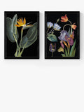 EAST END PRINTS dark floral framed print A2 - British product