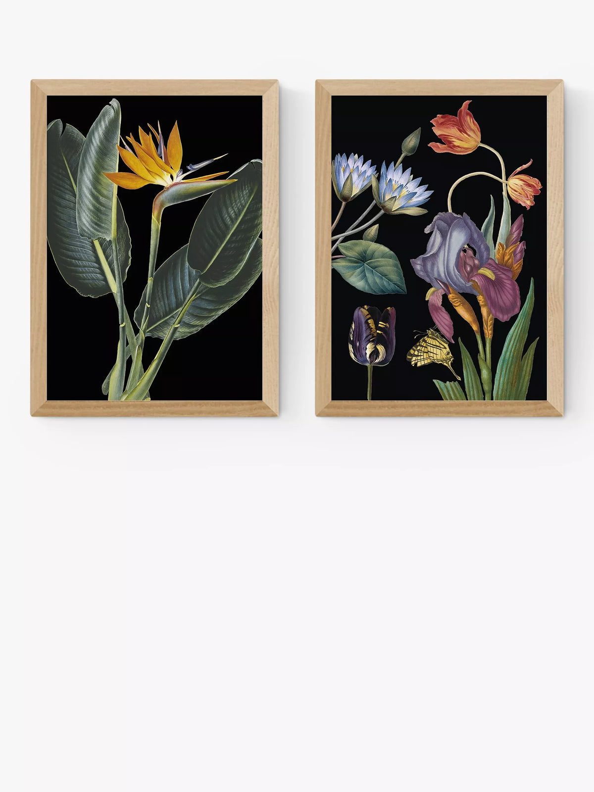 EAST END PRINTS Natural History Museum 'Dark Floral' Framed Print, Set of 2 - White Frame A3