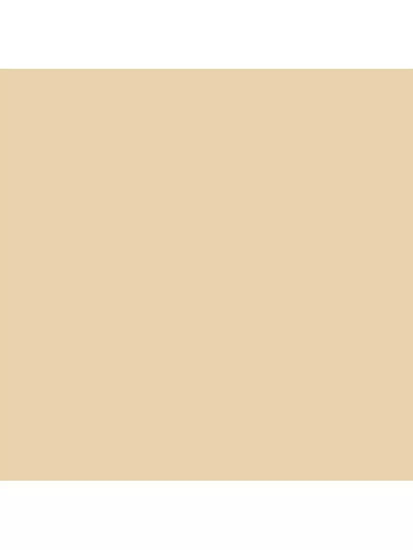 Laura Ashley Matt Emulsion Paint, Yellows, Pale Gold, 100ml