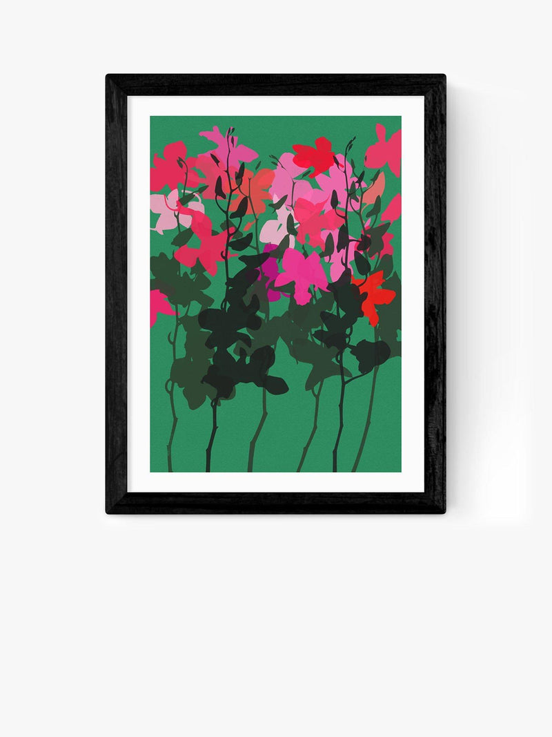 EAST END PRINTS orchids framed print 60x80cm (British brand)