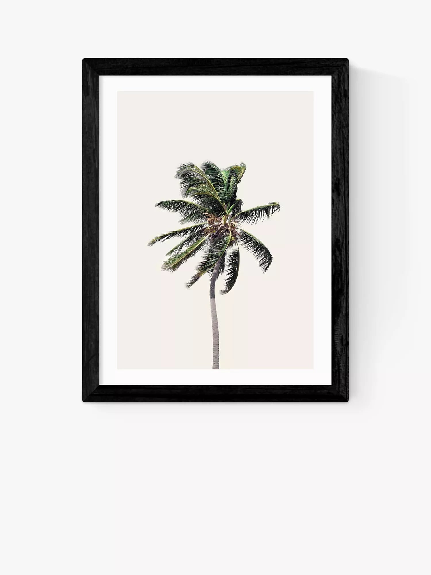 EAST END PRINTS Sisi und Seb 'Palm Tree I' gerahmtes Bild, 40x50cm