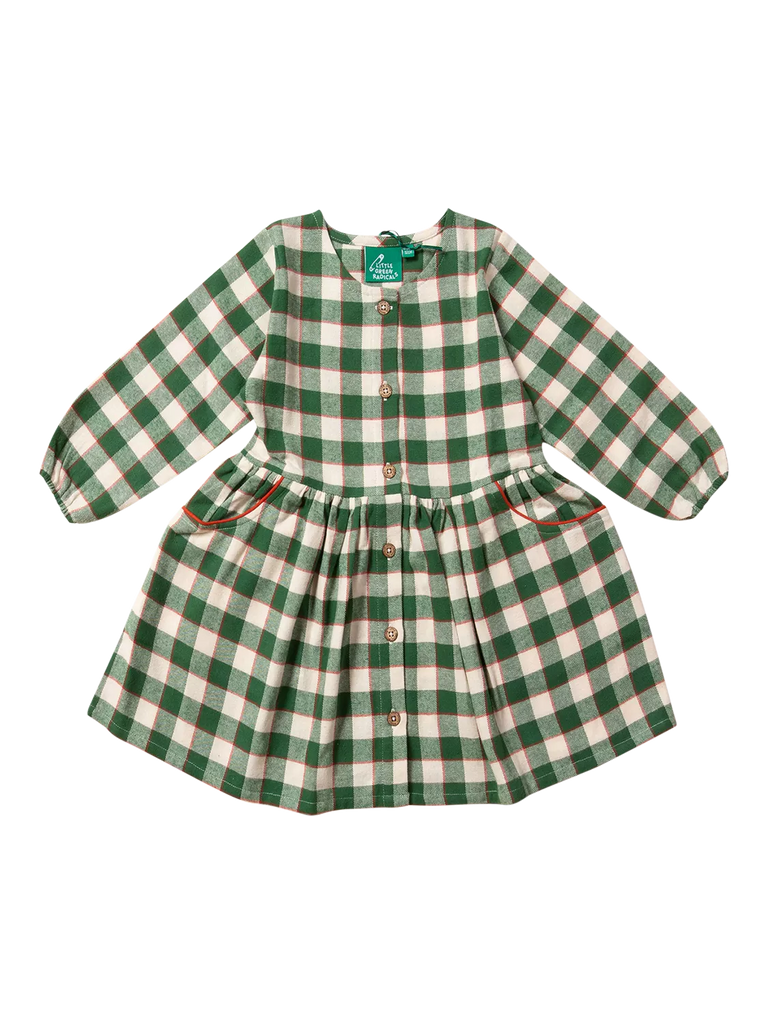 Little Green Radicals Baby Fern Check Pocket Dress, Fern Green