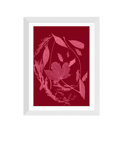 John Lewis EAST END PRINTS Herald Black 'Red Foliage' Framed Print- Buy online at McGrocer