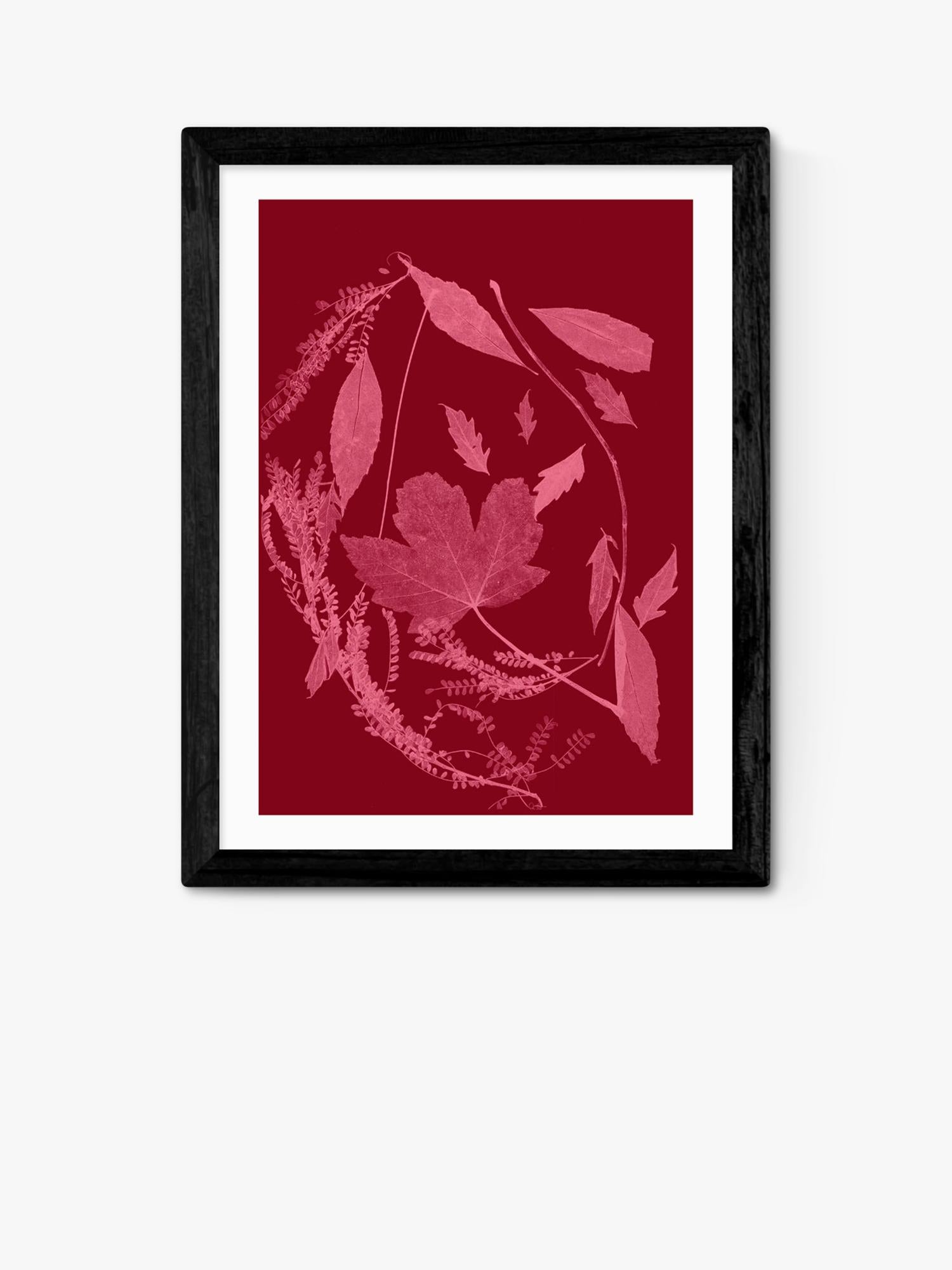 EAST END PRINTS framed print Herald Black Red Foliage, UK version