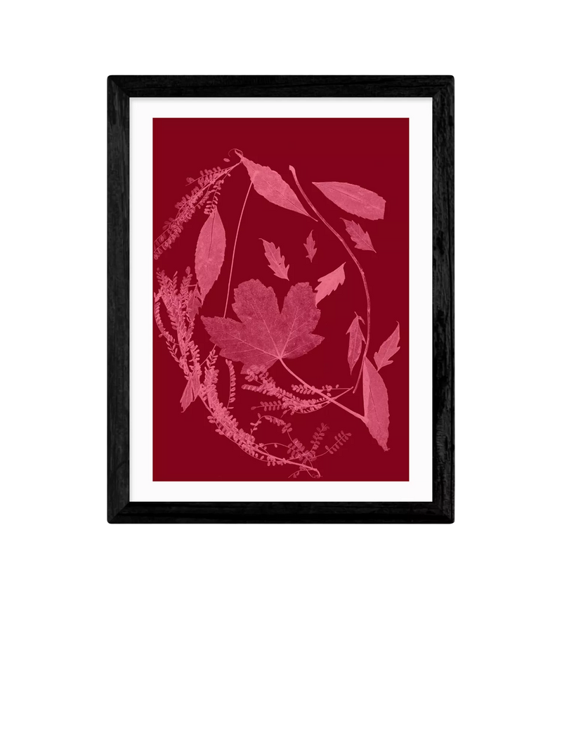 EAST END PRINTS Herald Black 'Red Foliage' Framed Print