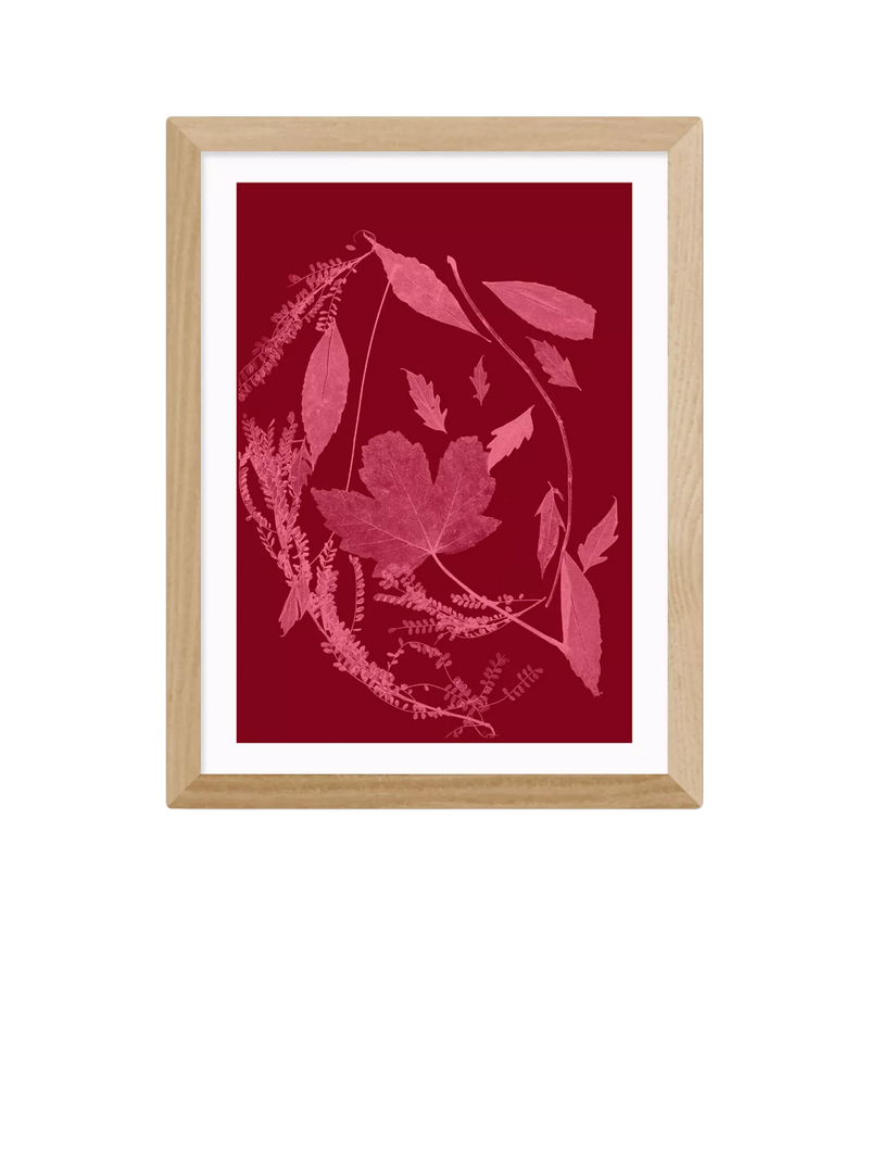 EAST END PRINTS Herald Black 'Red Foliage' Framed Print