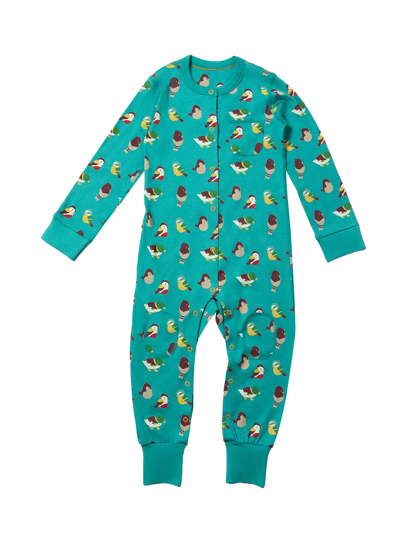 Little Green Radicals Baby Garden Birds Adaptive Onesie, Teal/Multi - McGrocer