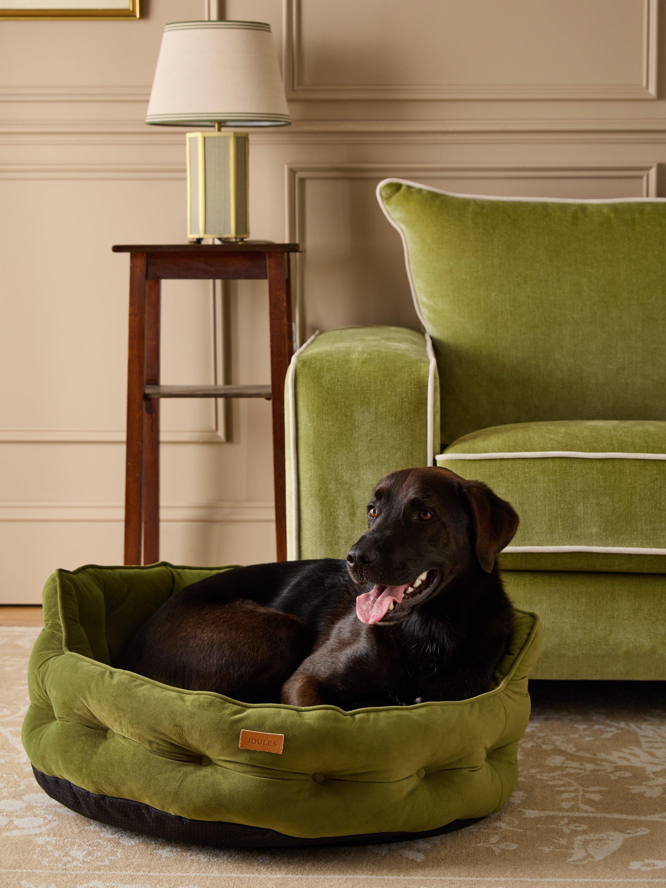 Joules Chesterfield Hundebett mehrfarbig - Britisches Produkt