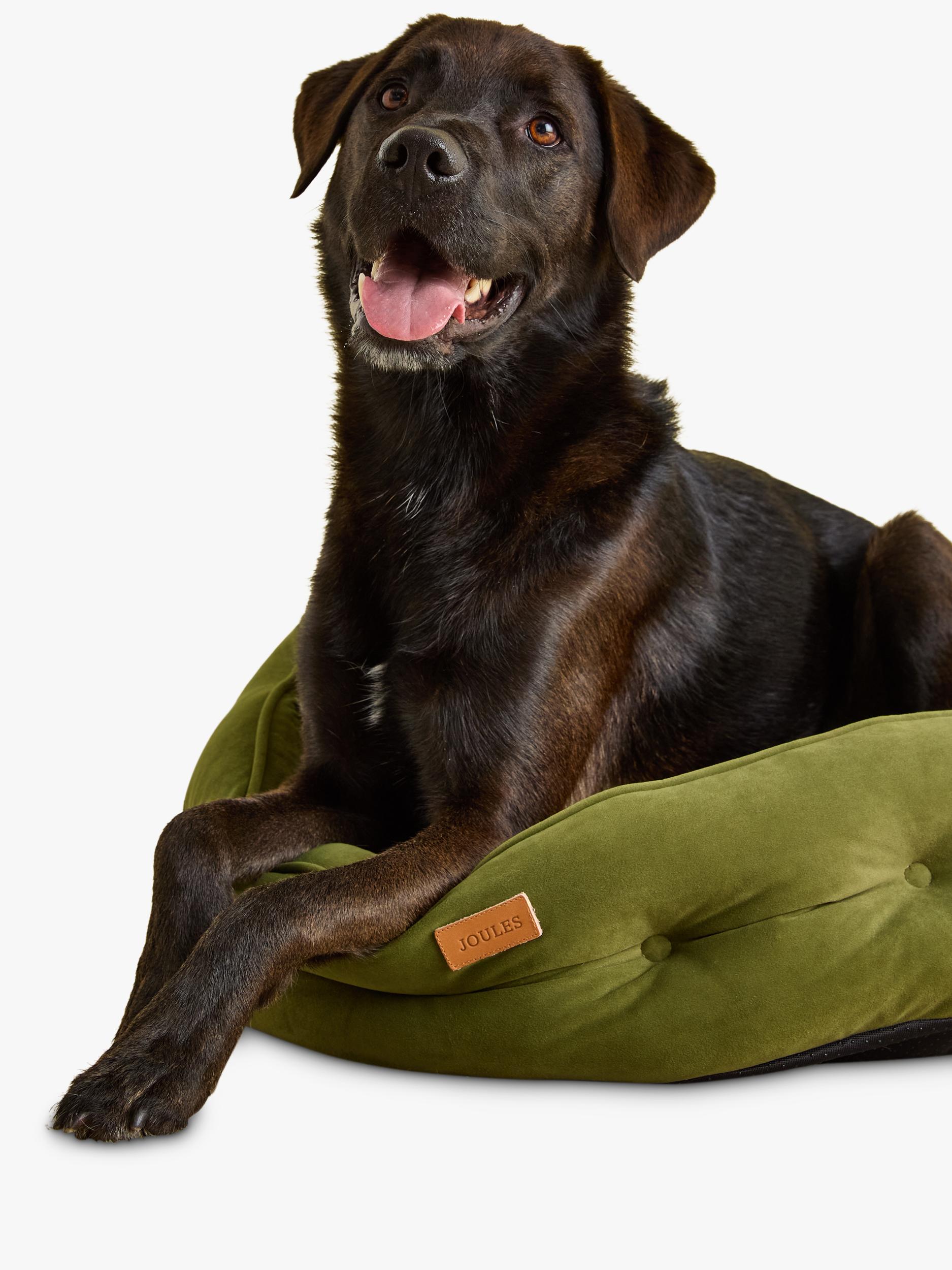 Joules Chesterfield Hundebett mehrfarbig - Britisches Produkt