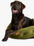 Joules Chesterfield Hundebett mehrfarbig - Britisches Produkt