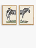 EAST END PRINTS framed print set zebra bird 45.4x33.1cm, UK version