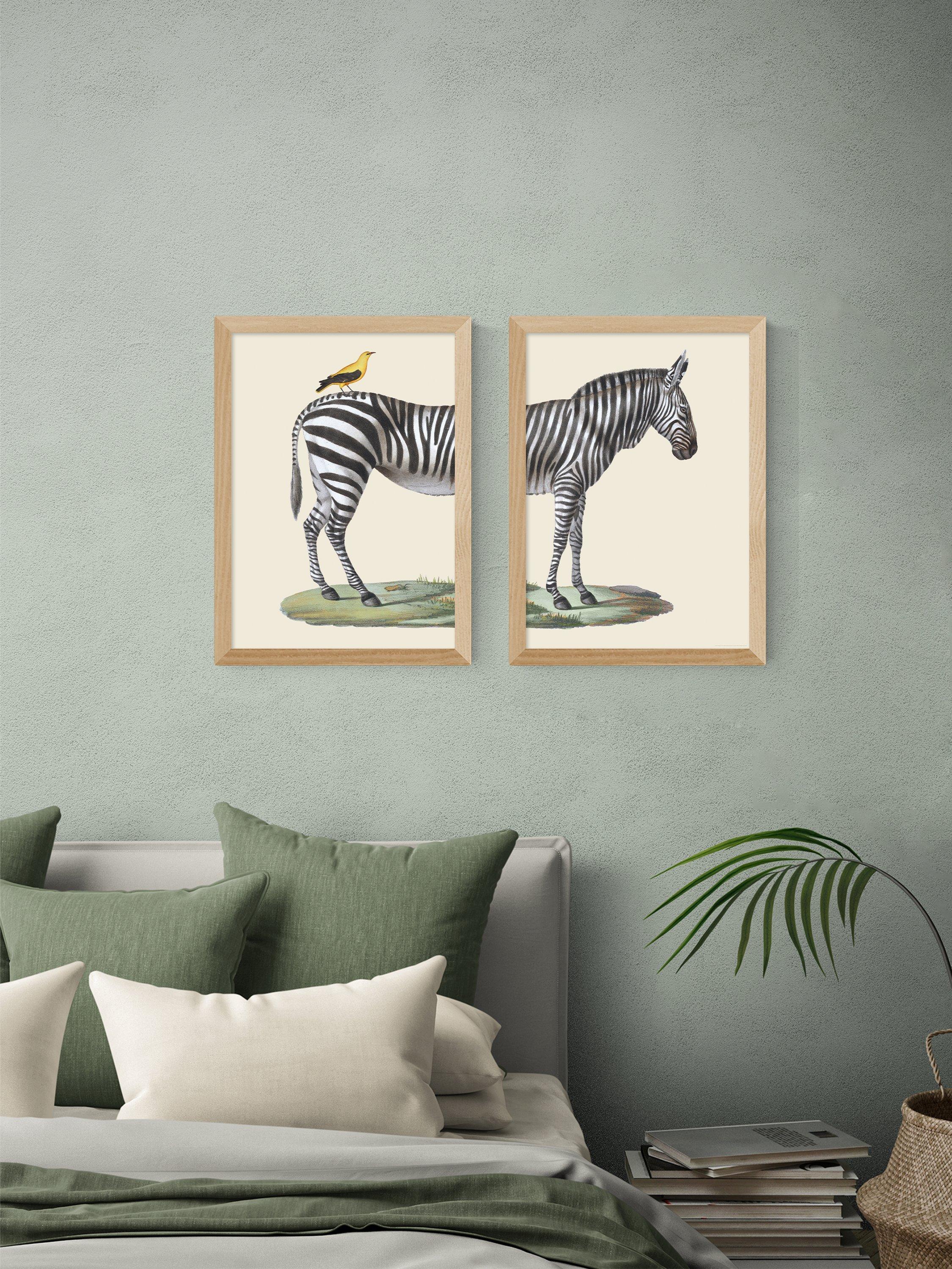 EAST END PRINTS framed print set zebra bird 45.4x33.1cm, UK version