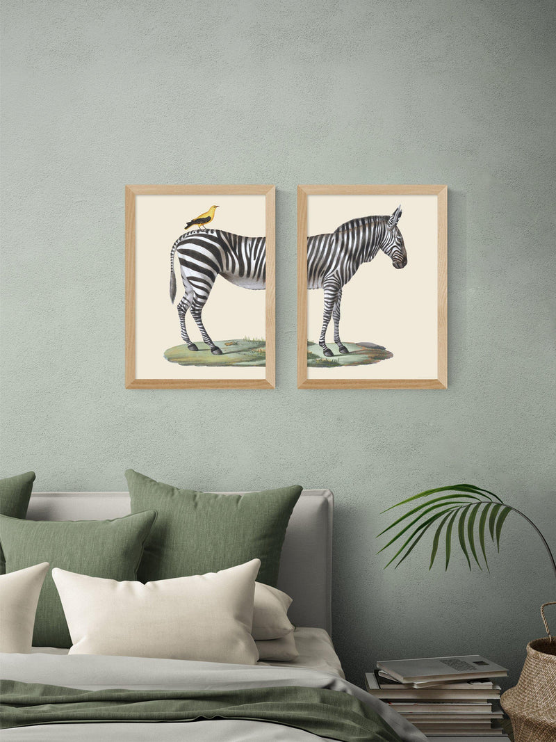 EAST END PRINTS framed print set zebra bird 45.4x33.1cm, UK version