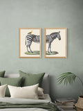 EAST END PRINTS framed print set zebra bird 45.4x33.1cm, UK version