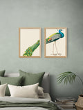 East End Prints peacock framed print set 62.8x45.4cm, imported from the UK