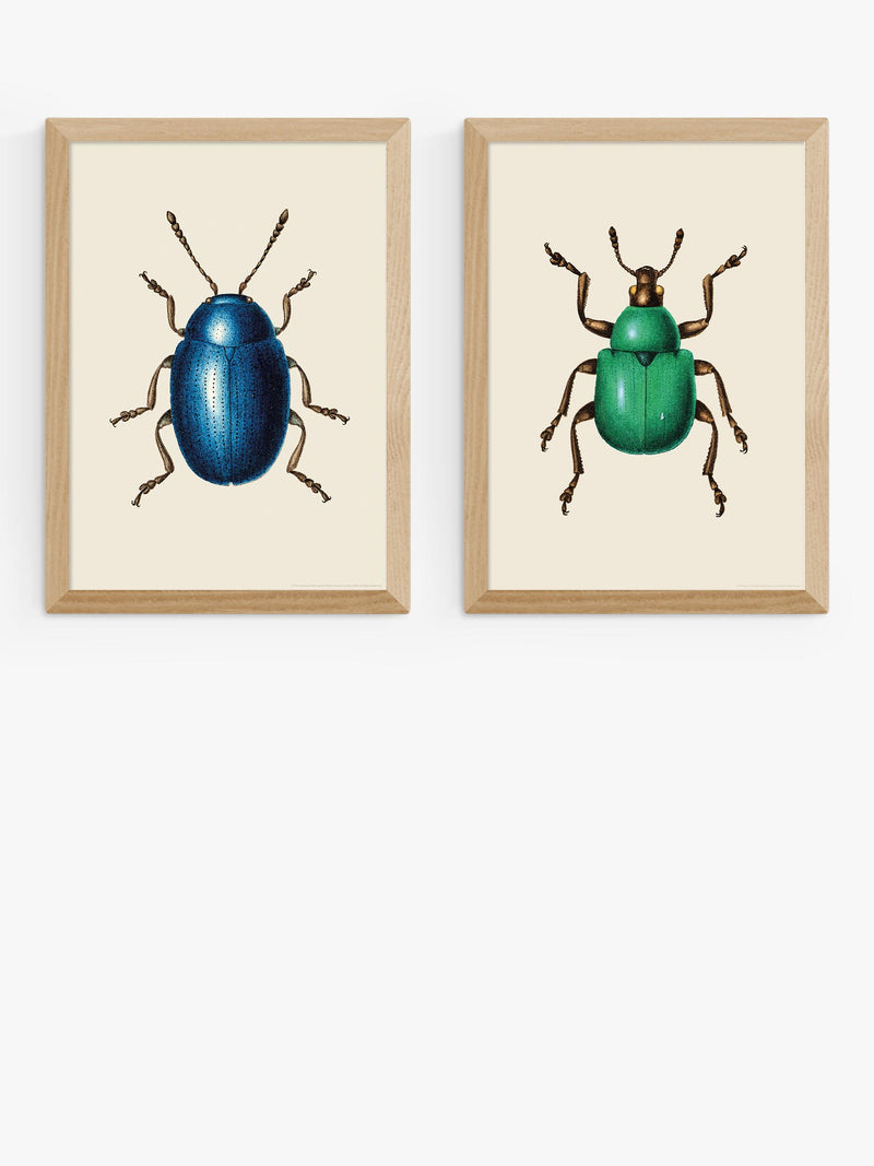 EAST END PRINTS beetle framed art print set of 2 62.8x45.4cm - British product