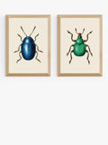 EAST END PRINTS beetle framed art print set of 2 62.8x45.4cm - British product