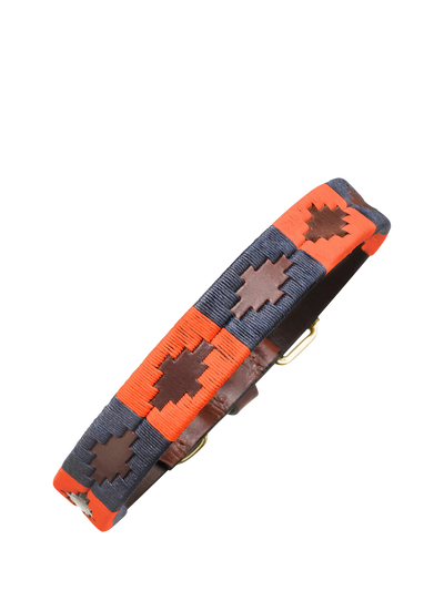 John Lewis Pampeano Audaz Leather Dog Collar Orange 35cm- Buy online at McGrocer