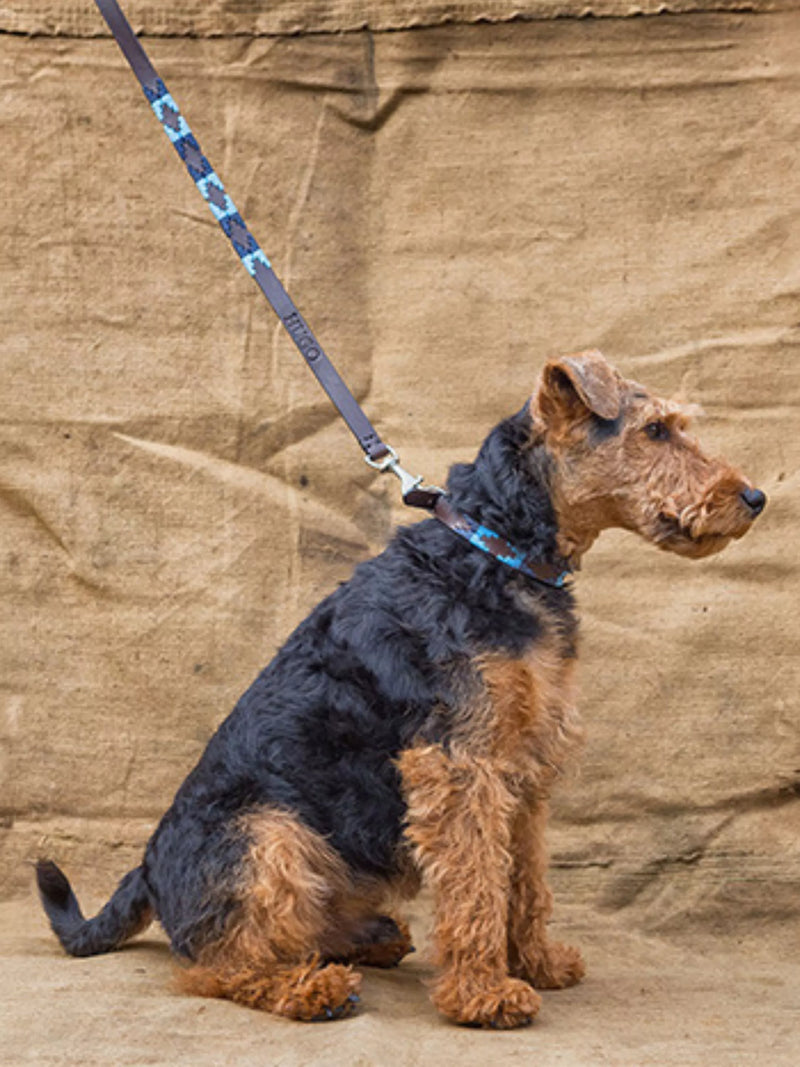 Pampeano Azules leather dog lead 115cm, UK version