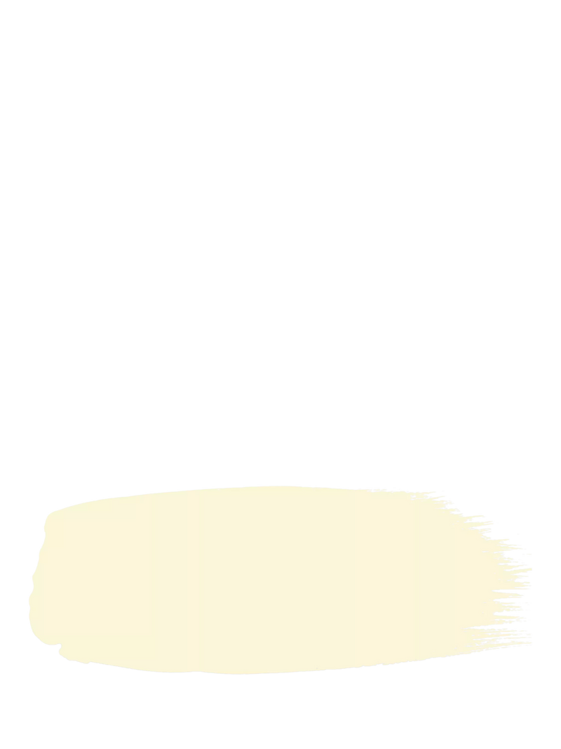 The Little Greene Paint Company Absolute Matt Emulsion 2.5L