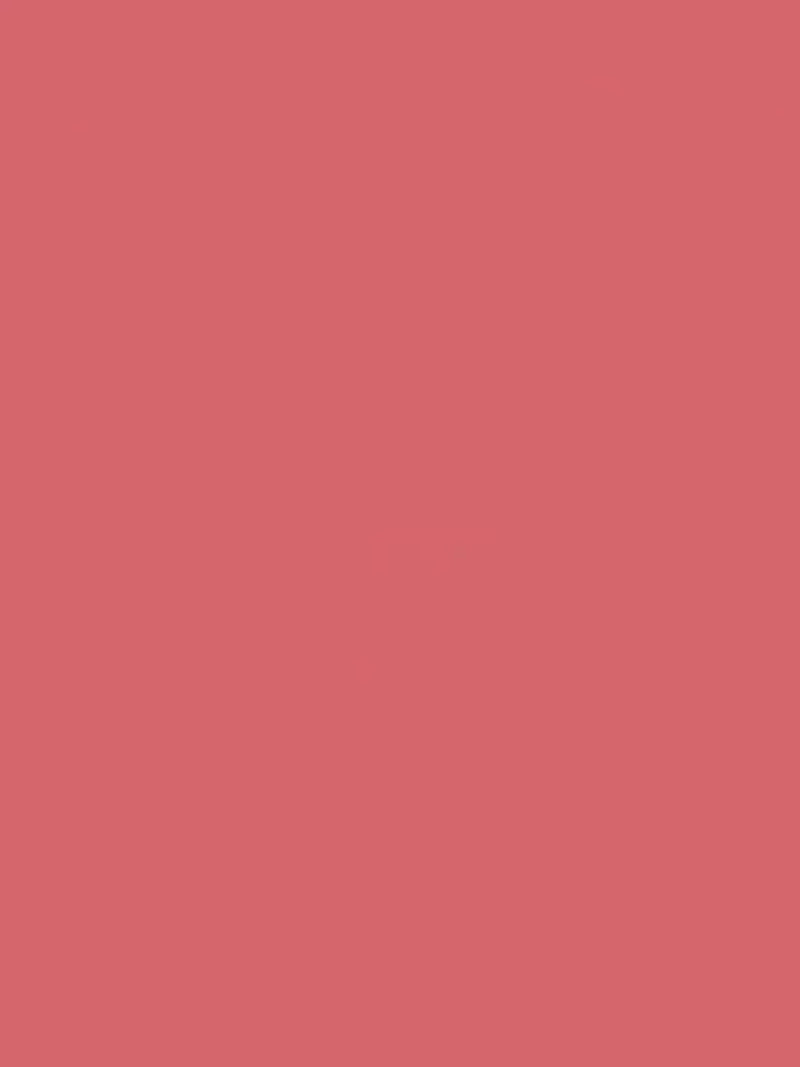 The Little Greene Paint Company Absolute Matt Emulsion 2.5L