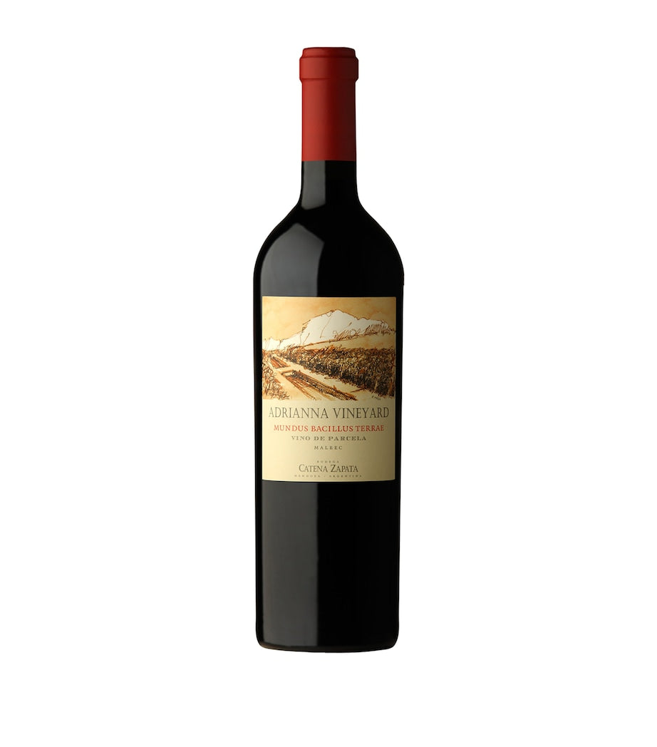 Catena Mundus Bacillus Terra Malbec 2021 75cl, UK version