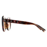 Valentino butterfly sunglasses brown gradient, imported from the UK