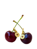 Ottoman Hands garnet heart huggie earrings gold, UK version