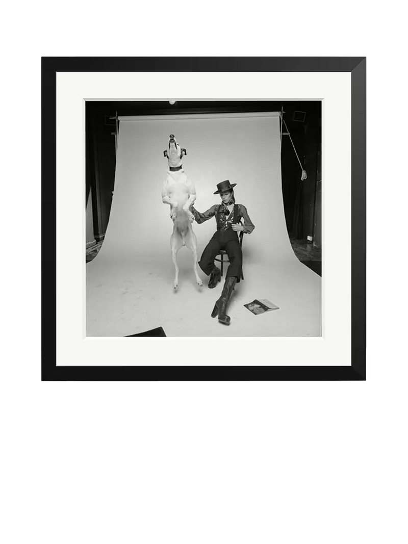 Sonic Editions framed print David Bowie Diamond Dogs 51x51 cm (British brand)
