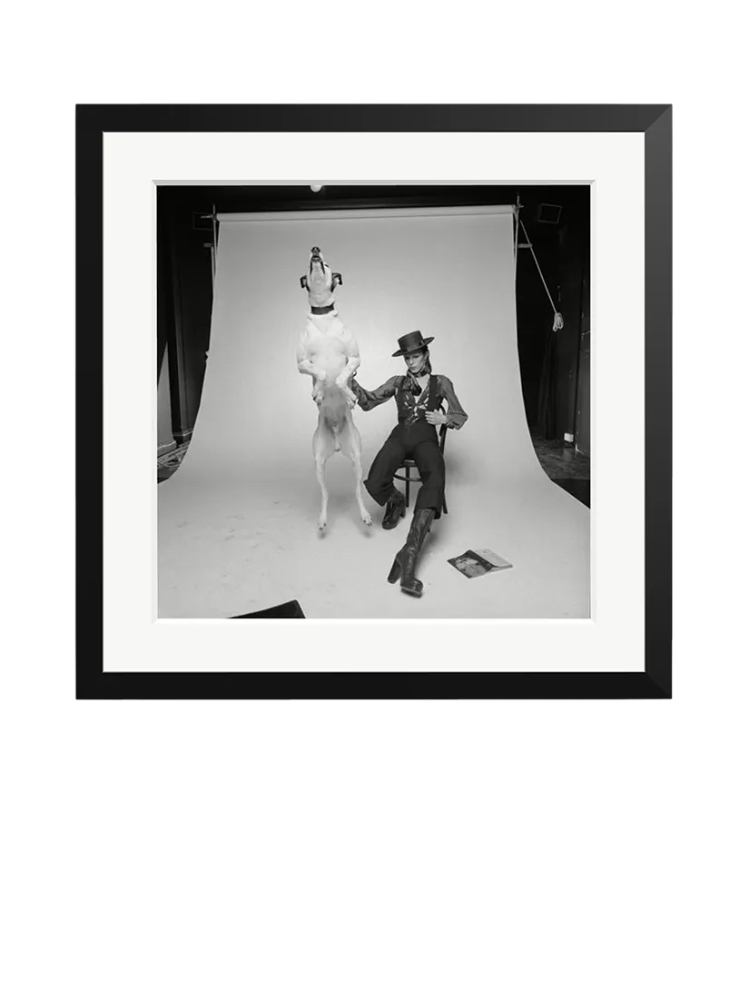 Sonic Editions framed print David Bowie Diamond Dogs 51x51 cm (British brand)
