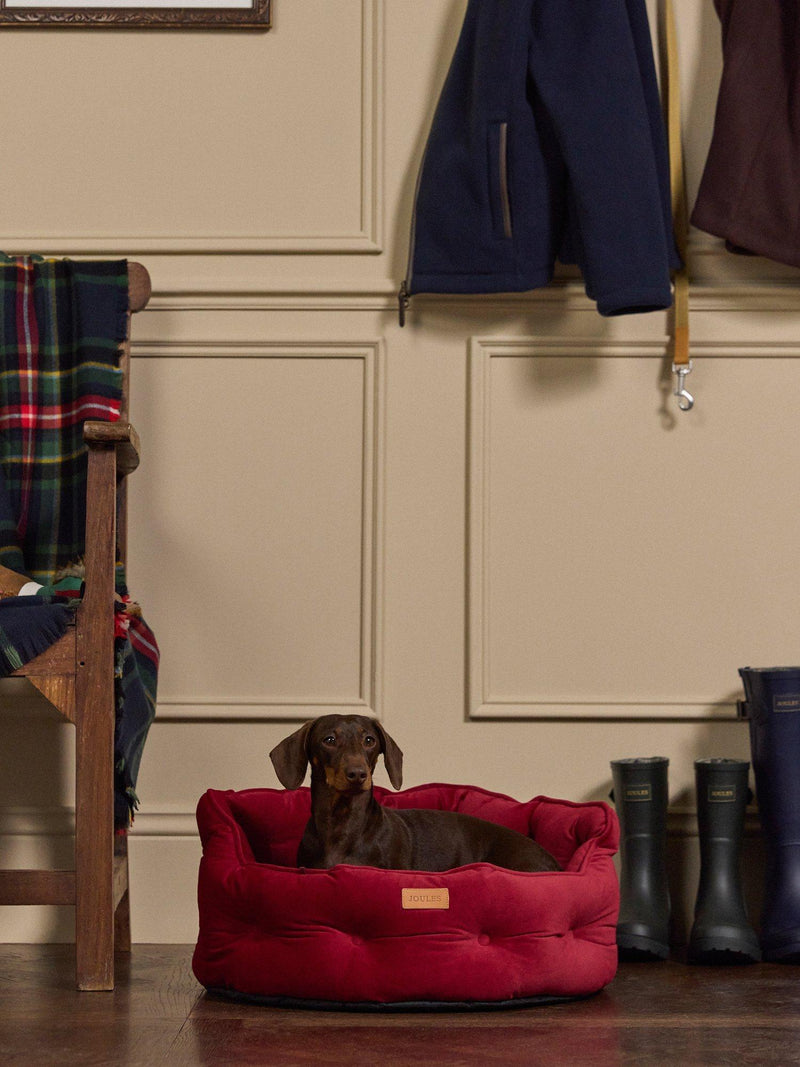 Joules Chesterfield padded pet bed in red burgundy, imported from the UK
