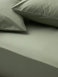 John Lewis Egyptian Cotton Percale Easy Care 260 Thread Count Fitted Sheet European Double