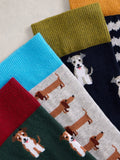 White Stuff dog socks pack of 4 - British product