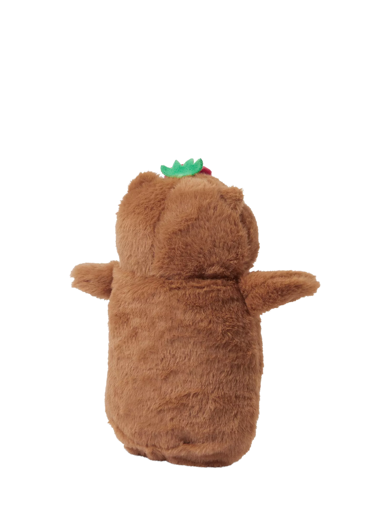 Angels by Accessorize fluffy capybara pencil case (British brand)