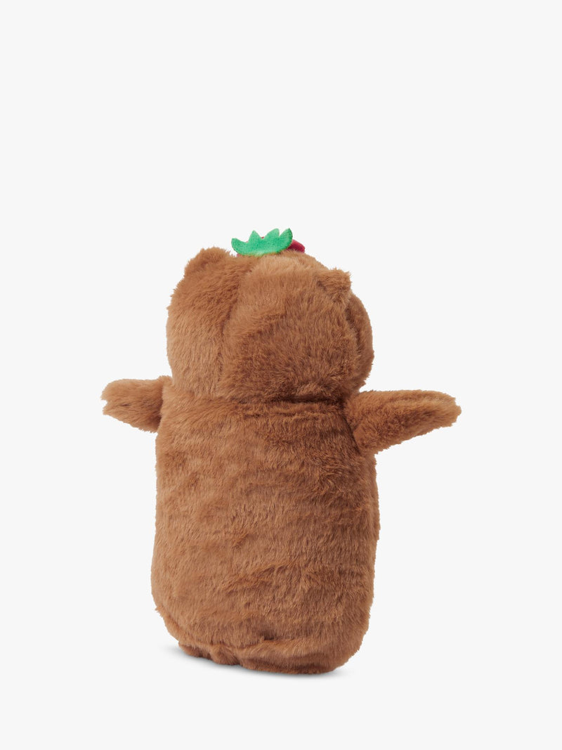 Angels by Accessorize fluffy capybara pencil case (British brand)