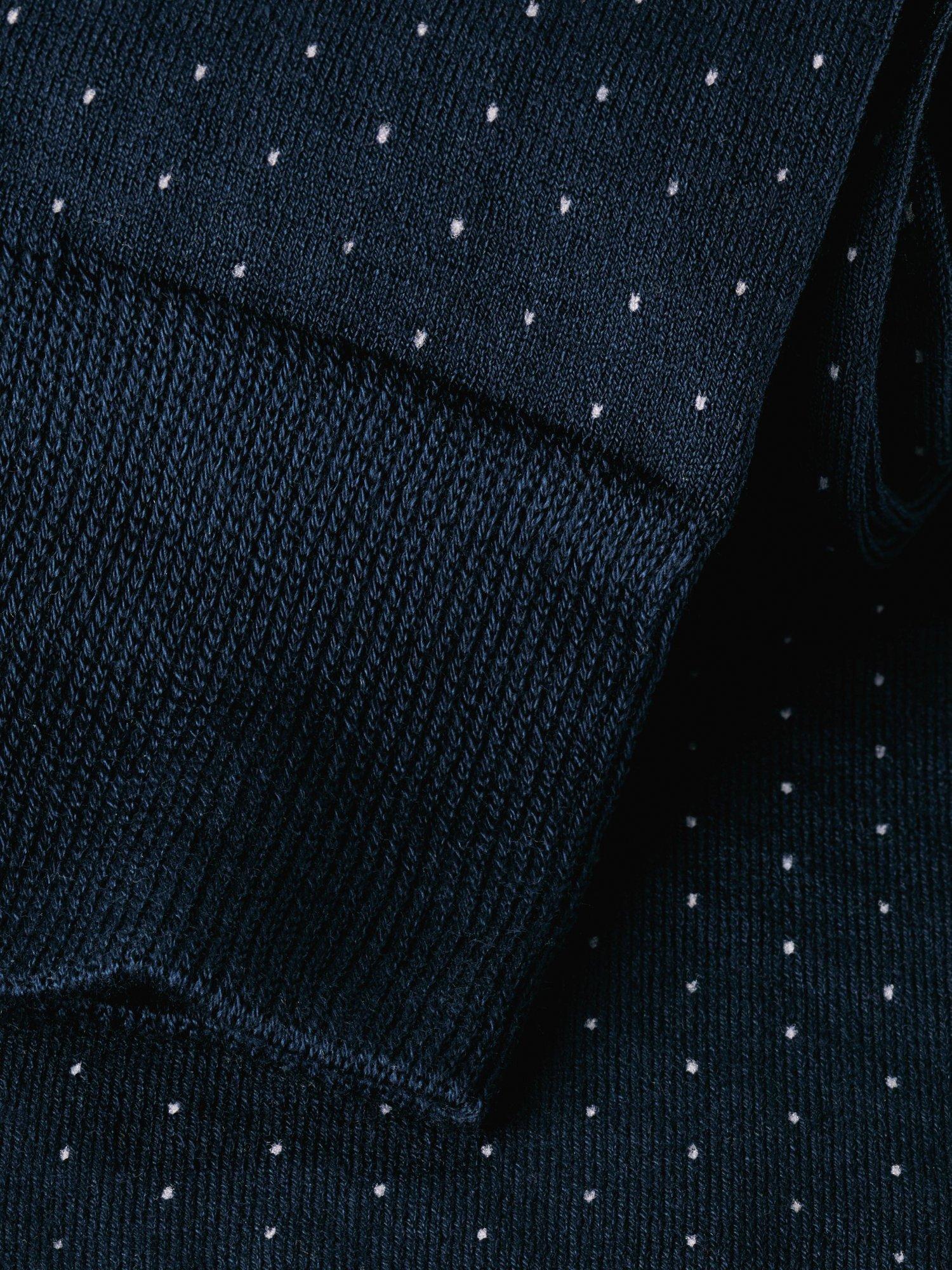 Charles Tyrwhitt micro dash cotton blend socks navy/white, UK version