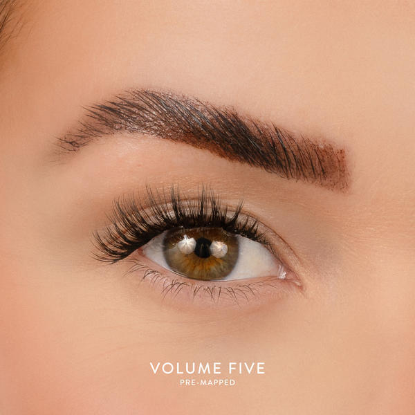 House of Amor Volume 5 - Pre Mapped Multipack