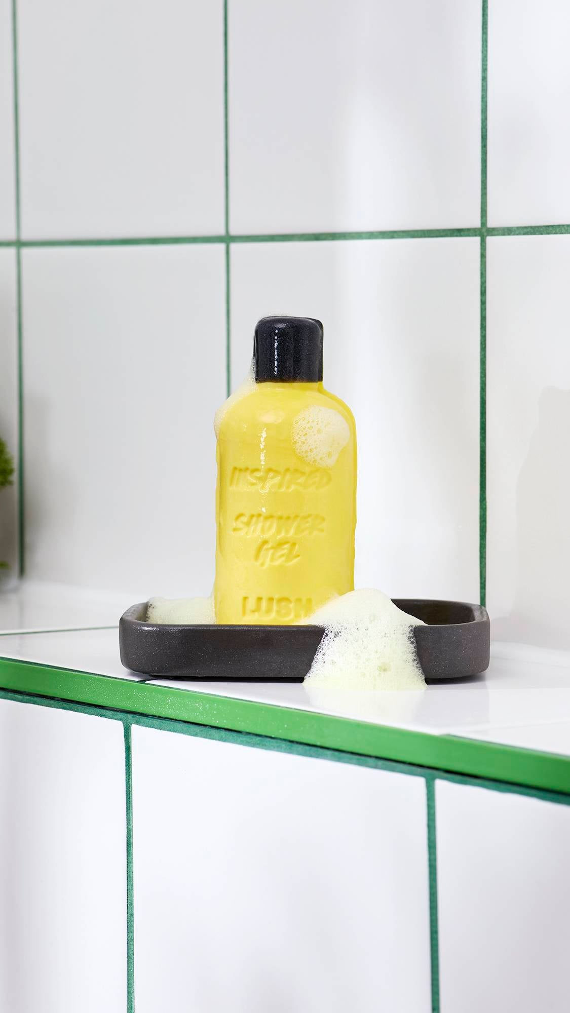 Lush Inspired naked solid shower gel (British brand)