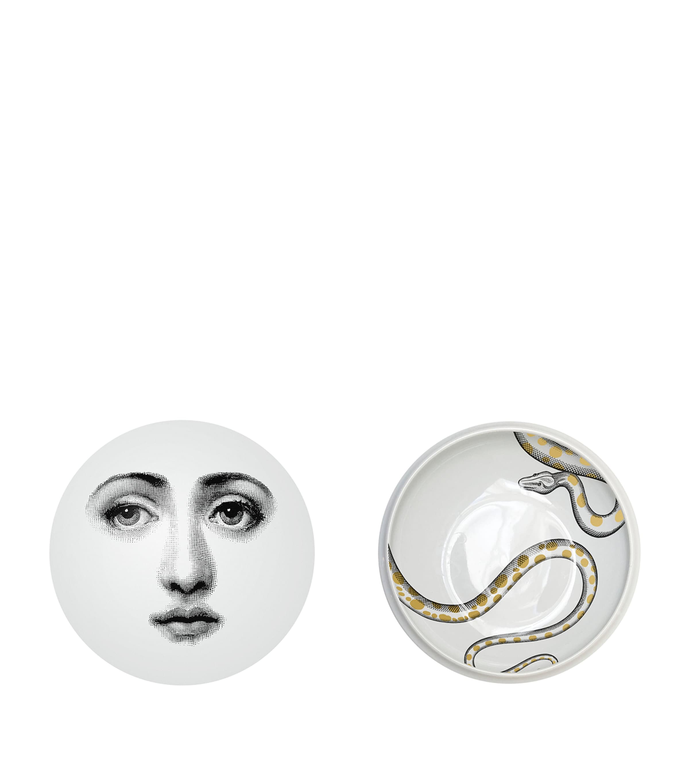 Fornasetti porcelain round box with snake design, 4cm height and 10.5cm diameter - British product
