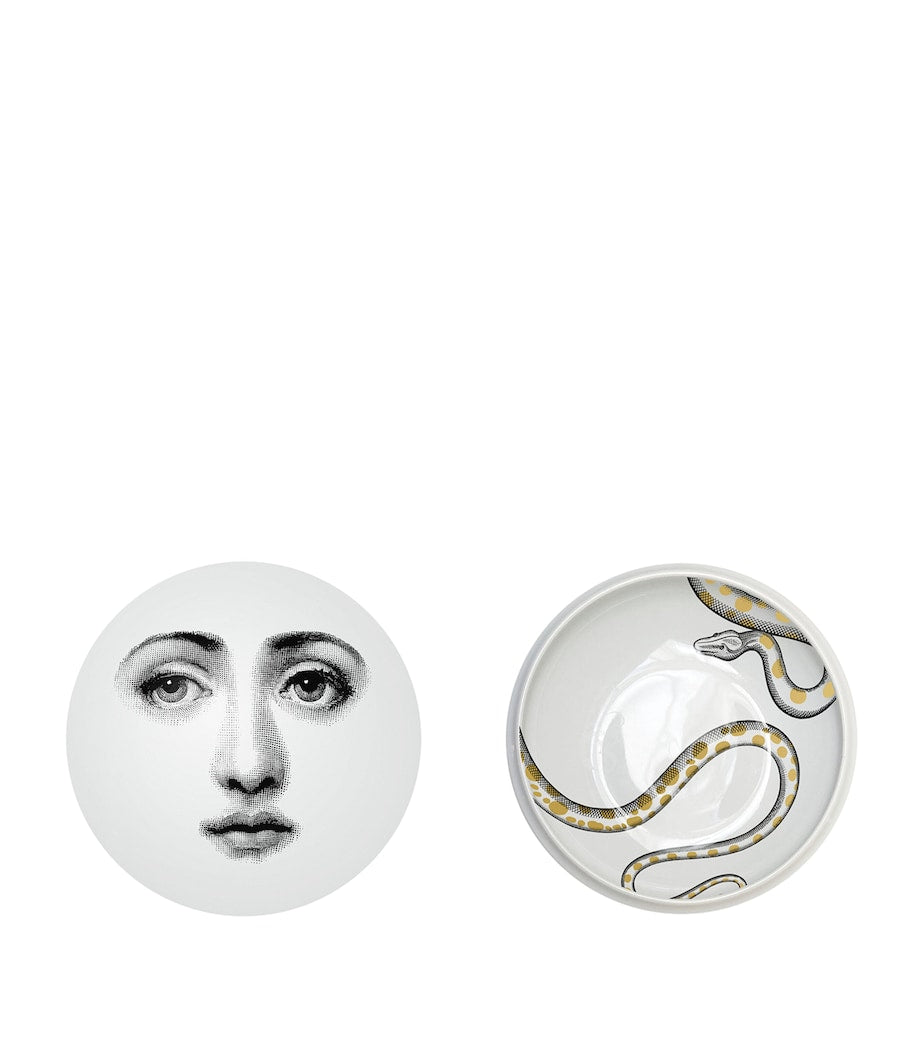 Fornasetti porcelain round box with snake design, 4cm height and 10.5cm diameter - British product