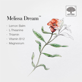 New Nordic Melissa Dream tablets 100 count, imported from the UK