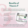 Holland & Barrett Vitamin F Night Cream 50ml, UK version