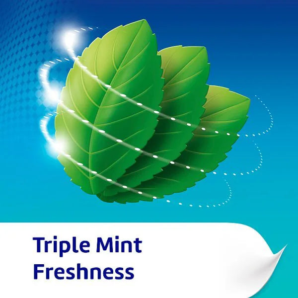 Poligrip denture fixative cream mint flavour 40g, imported from the UK