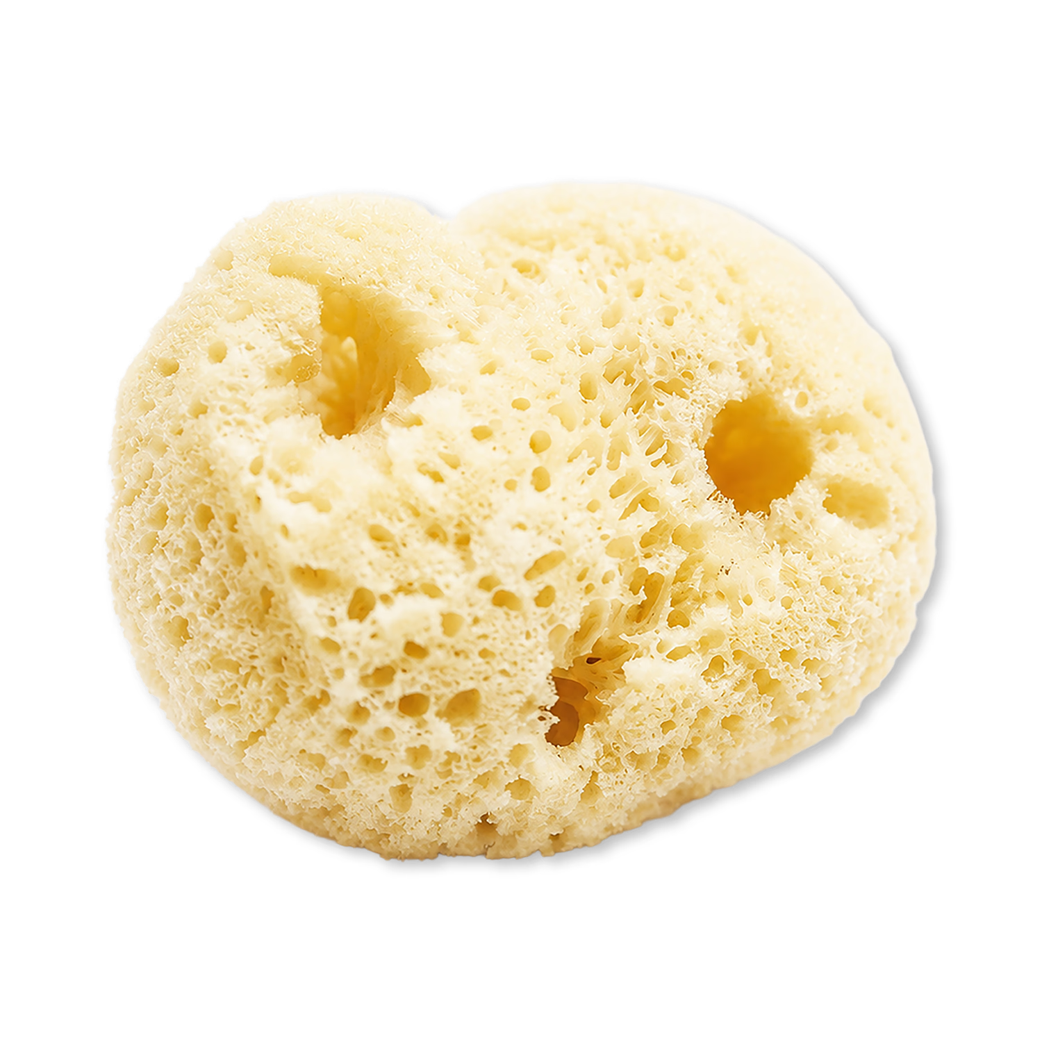 Natural sea sponge puffs 6-pack (British brand)