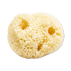 Natural sea sponge puffs 6-pack (British brand)
